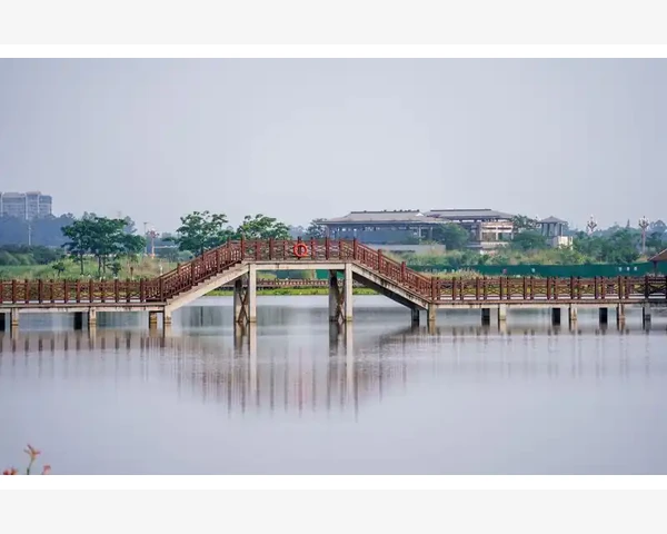 先治肝胆湿热还是先治脾胃虚寒？中医解析