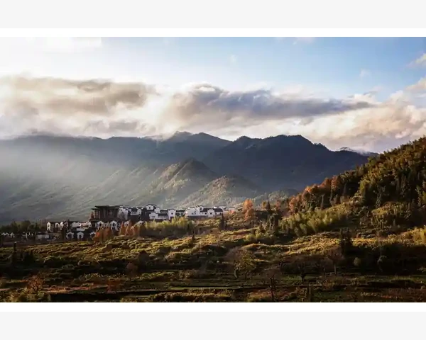 呼吸新生：舌尖传奇，探秘清肺之道